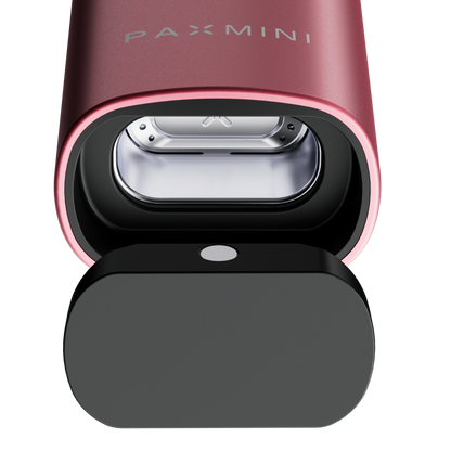 PAX Mini 2
