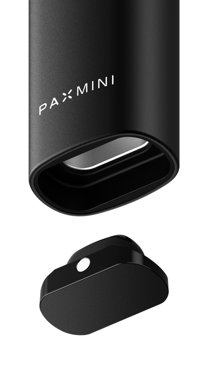 PAX Mini 2